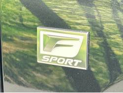 ＮＸ ＮＸ３００ Ｆスポーツの中古車画像