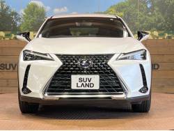 ＵＸ ＵＸ２５０ｈ バージョンＬの中古車画像