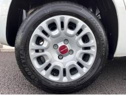 パンダ イージーの中古車画像