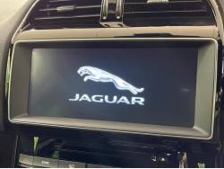 ＸＥ ＸＥ ピュアの中古車画像