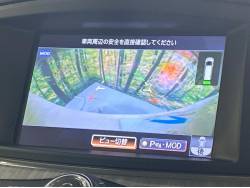 エルグランド ライダー ブラックラインの中古車画像