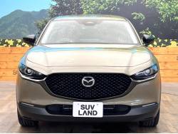 ＣＸ－３０ ＸＤ レトロスポーツエディションの中古車画像