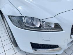 ＸＦ ＸＦ ピュアの中古車画像