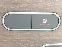 Ａクラスセダン Ａ２５０ ４マチックセダンの中古車画像