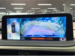 ＲＸ ＲＸ３００ Ｆスポーツの中古車画像