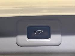 アルファードＶ ＭＳ プラチナセレクションの中古車画像