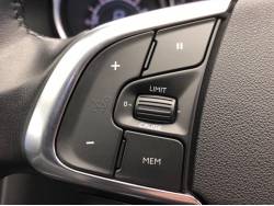 ＤＳ４ クロスバックの中古車画像