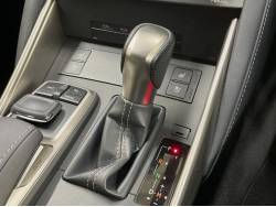 ＩＳ ＩＳ３００ Ｆスポーツの中古車画像