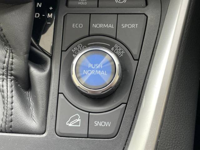 トヨタ ＲＡＶ４ アドベンチャー 2.9万Km 340.9万円(山形県)[161]の中古車詳細