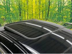 ＬＳ ＬＳ５００ Ｆスポーツの中古車画像