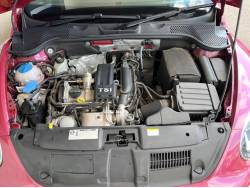 ザ・ビートル ハッシュタグピンクビートルの中古車画像