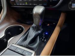 ＲＸ ＲＸ３００ バージョンＬの中古車画像