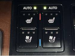 ＲＸ ＲＸ３００ バージョンＬの中古車画像