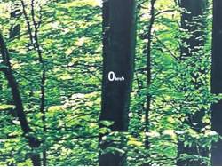 ＣＸ－５ ２０Ｓ スマートエディションの中古車画像