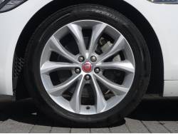 ＸＦ ＸＦ プレステージの中古車画像