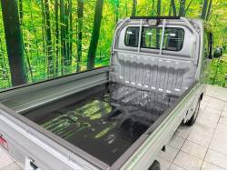 アクティトラック タウンの中古車画像