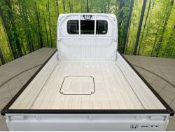 アクティトラック タウンの中古車画像