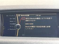 Ｘ１ ｘＤｒｉｖｅ ２０ｉ スポーツの中古車画像