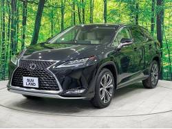 ＲＸ ＲＸ３００ バージョンＬの中古車画像