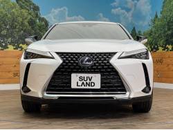 ＵＸ ＵＸ２５０ｈ 特別仕様車 ブラウンエディションの中古車画像