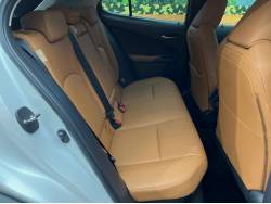 ＵＸ ＵＸ２５０ｈ 特別仕様車 ブラウンエディションの中古車画像