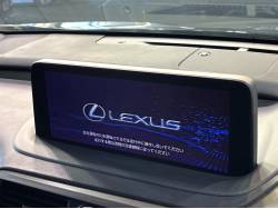 ＲＸ ＲＸ４５０ｈＬの中古車画像