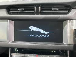 ＸＦ ＸＦ プレステージの中古車画像