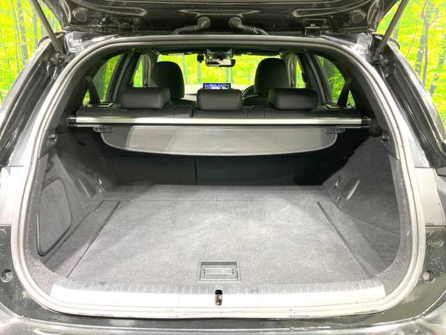 レクサス ＣＴ ＣＴ２００ｈ Ｆスポーツ 5.3万Km 272.9万円(愛知県)[802]の中古車詳細