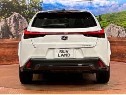 ＵＸ ＵＸ２５０ｈ 特別仕様車 Ｆスポーツ エモーショナル エクスプローラーの中古車画像