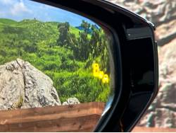 ＵＸ ＵＸ２５０ｈ 特別仕様車 Ｆスポーツ エモーショナル エクスプローラーの中古車画像