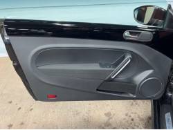 ザ・ビートル ビターの中古車画像