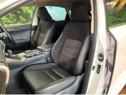 ＮＸ ＮＸ３００ｈの中古車画像