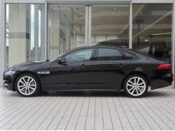 ＸＦ ＸＦ Ｒ－スポーツの中古車画像