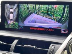 ＮＸ ＮＸ３００ｈ 特別仕様車 ブラックシークエンスの中古車画像