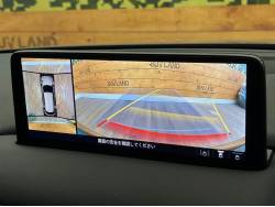 ＣＸ－８ ２５Ｓ ブラックトーンエディションの中古車画像