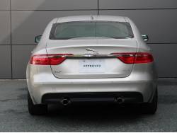 ＸＦ ＸＦ プレステージの中古車画像