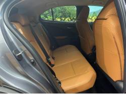 ＵＸ ＵＸ２５０ｈ バージョンＬの中古車画像