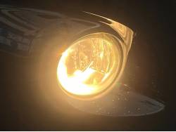 ノア Ｓi Ｇ’ｓバージョンＥＤＧＥの中古車画像