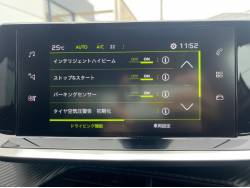 ２００８ ＧＴ ブルーＨＤｉの中古車画像