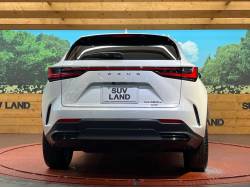 ＮＸ ＮＸ４５０ｈ＋ バージョンＬの中古車画像