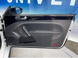 ザ・ビートル Ｒラインマイスターの中古車画像