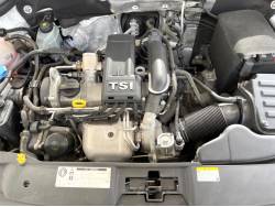 ザ・ビートル ミルクの中古車画像