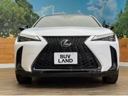 ＵＸ ＵＸ２５０ｈ 特別仕様車 Ｆスポーツ エモーショナル エクスプローラーの中古車画像