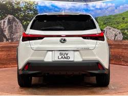 ＵＸ ＵＸ３００ｈ バージョンＬの中古車画像