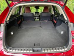 ＮＸ ＮＸ３００ｈの中古車画像