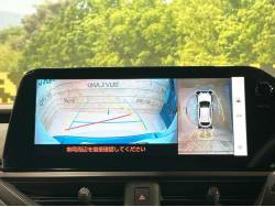 ＵＸ ＵＸ２５０ｈ 特別仕様車 グレイスフル エクスプローラーの中古車画像