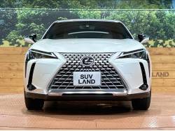 ＵＸ ＵＸ２５０ｈ 特別仕様車 グレイスフル エクスプローラーの中古車画像