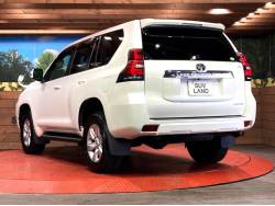 ランドクルーザープラド ＴＸの中古車画像