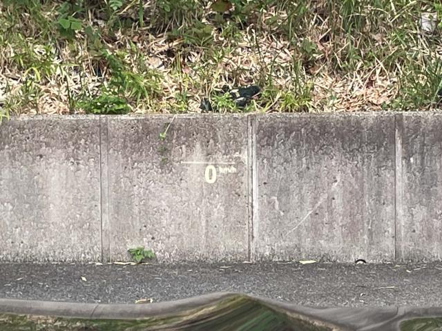 ＢＭＷ Ｘ３ ｘＤｒｉｖｅ ２０ｄ Ｍスポーツ ハイラインパッケージ 3.5万Km 409.8万円(愛知県)[237]の中古車詳細