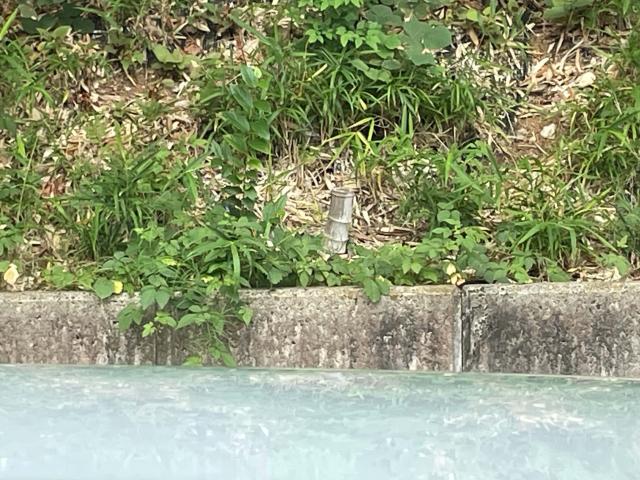 ＢＭＷ Ｘ３ ２０ｄ ｘＤｒｉｖｅ Ｍスポーツ 0.3万Km 710.0万円(愛知県)[960]の中古車詳細